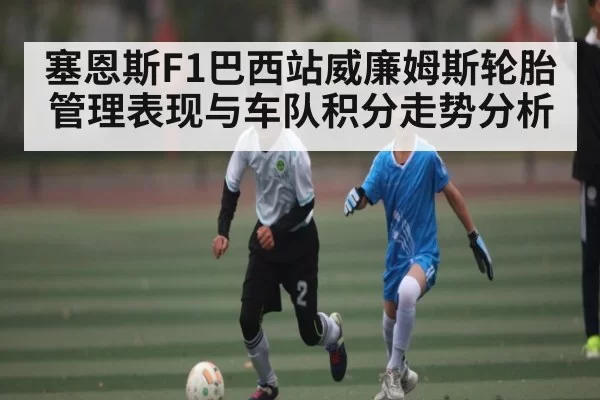 塞恩斯F1巴西站威廉姆斯轮胎管理表现与车队积分走势分析