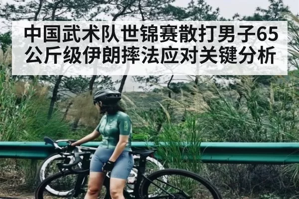 中国武术队世锦赛散打男子65公斤级伊朗摔法应对关键分析